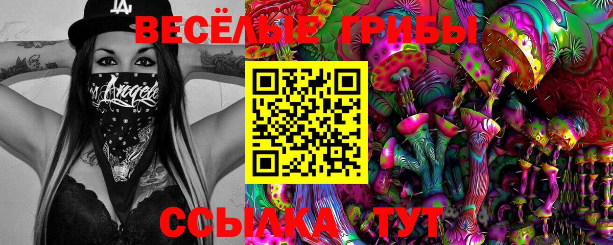 Похвистнево  Псилоцибиновые грибы Magic Shrooms  Вход с VPN 